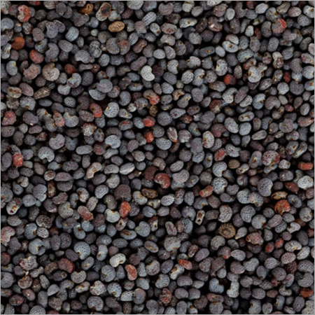 Poppy Seeds