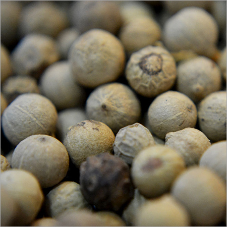 Spices
