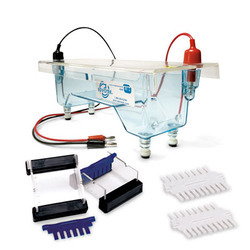 Electrophoresis Apparatus