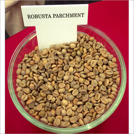 Robusta Parchment