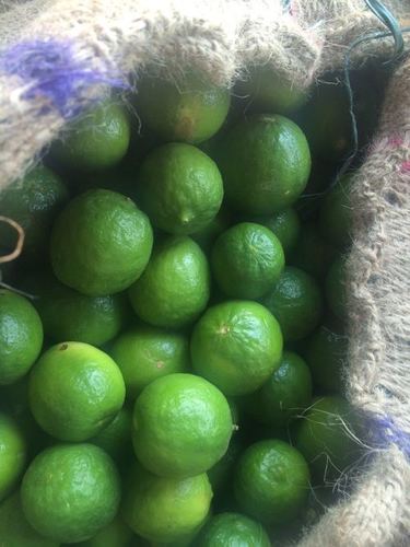 lemon Cold Storage