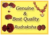 Ek mukhi Rudraksha