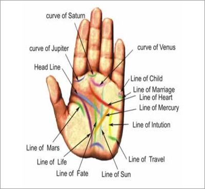 Palmistry Service