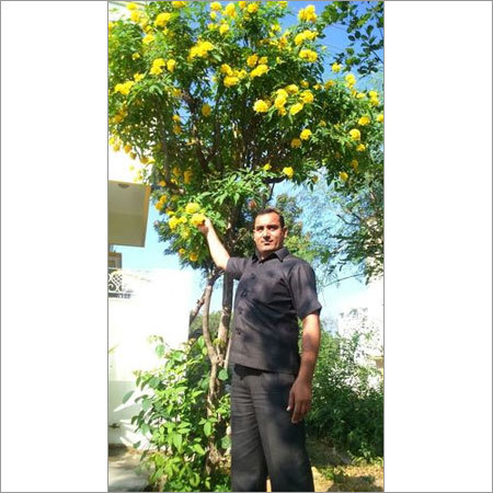 Ex Army Man Security Guard