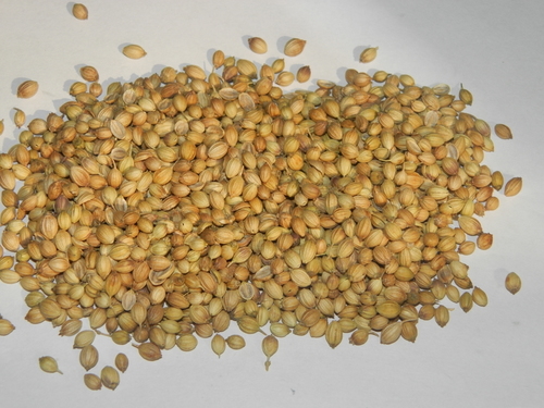 CORIANDER WHOLE