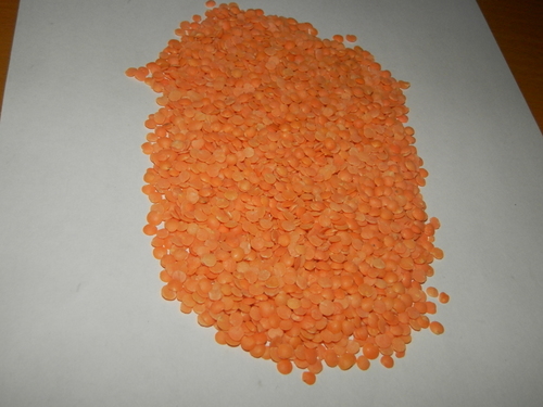 MASOOR DAL (MOGAR)