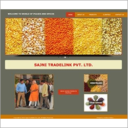 Web Design - Orange, Responsive Layout, SEO Optimized, Mobile Friendly, E-commerce Ready