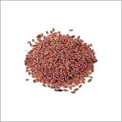 Organic Psyllium Seeds