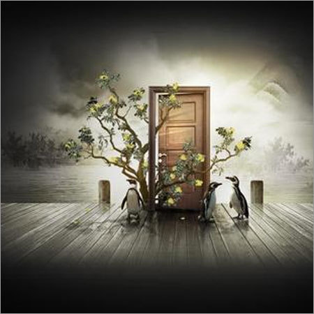 Flush Doors