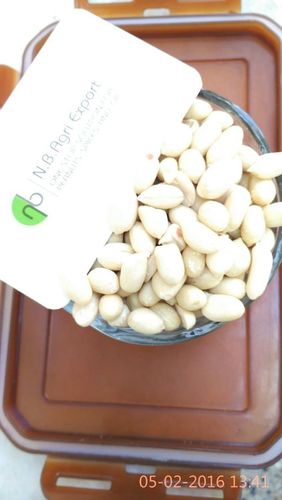 Fresh Roasted Salted Nuts