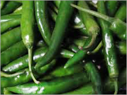 Green Chilli
