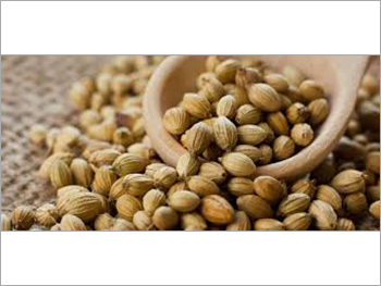 Dry Coriander