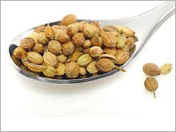 Whole Coriander Seeds