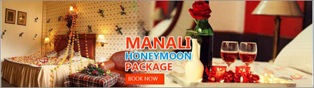 Manali Honeymoon Package