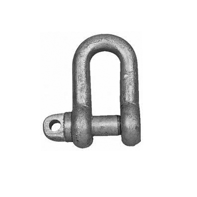 Forged D Shackle