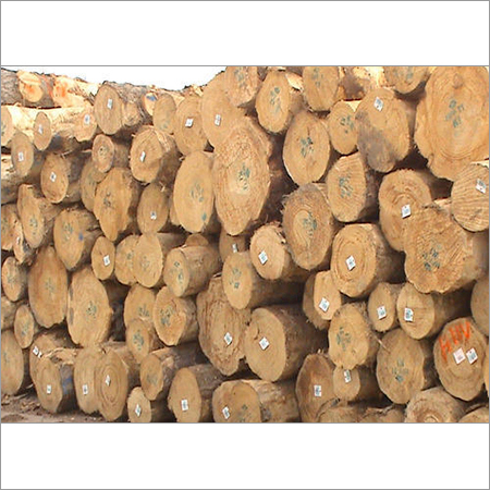 Radiata Pine Logs