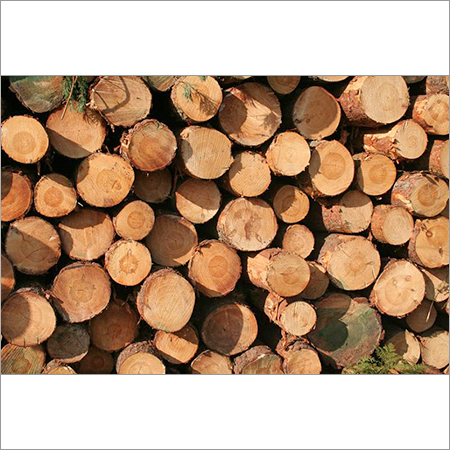 Sylvestris Pine Logs