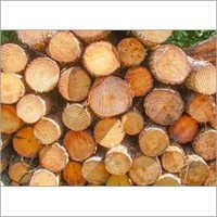 Syp Logs