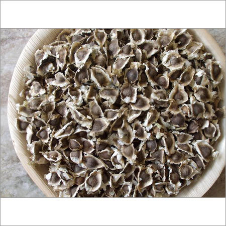 Moringa Seeds