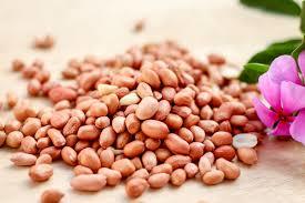 RICH Red skin Peanut - BOLD