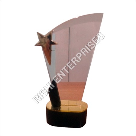Corporate Customise Acrylic Trophy