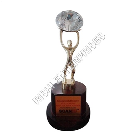 Corporate Metal Fibre Trophy