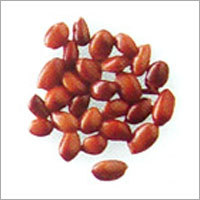 Organic Anise Seeds
