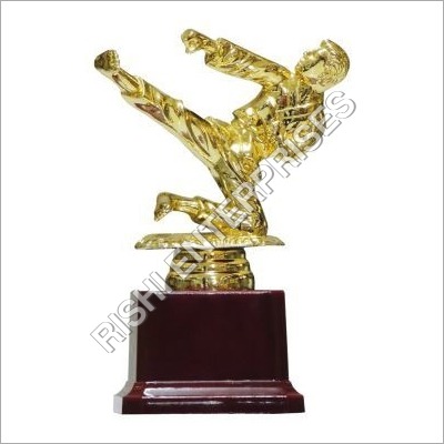 Metal Fibre Karate Trophy