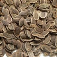 Caraway Oil