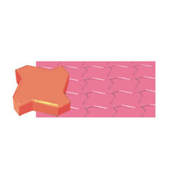 Paver Block Moulds