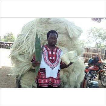 Sisal