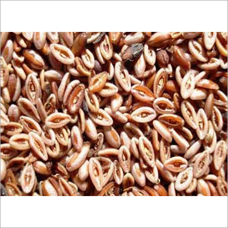 Psyllium Seeds
