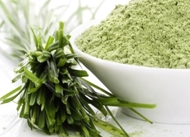 Wheat Grass Powder