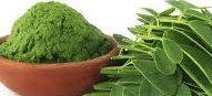 Moringa Powder