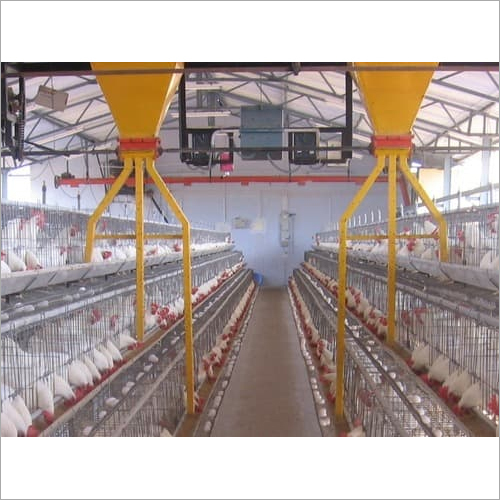 Poultry Feeding Channels
