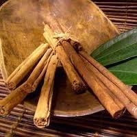 Cinnamon Bark Oil
