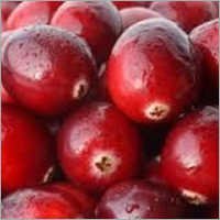 Cranberry Seed Oil