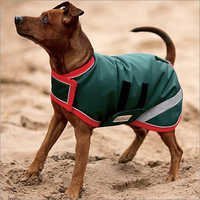 Green Winter Dog Coats