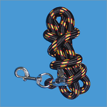Dog Leash