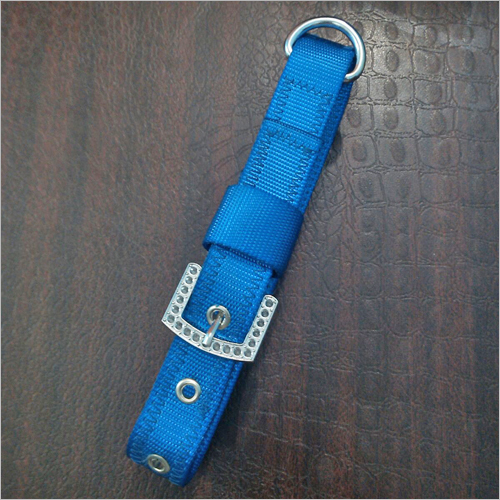 Designer Dog Collar