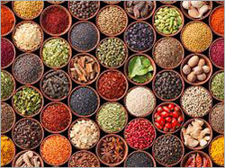 Indian Spices