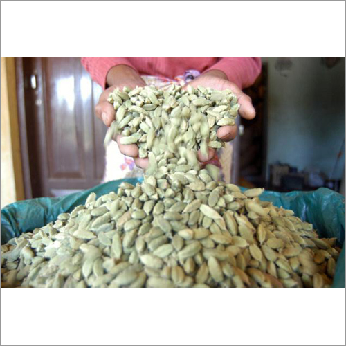 Indian Cardamom