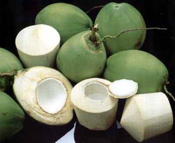 Tender Coconut