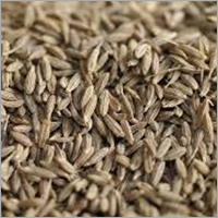 Cumin Seed Oil