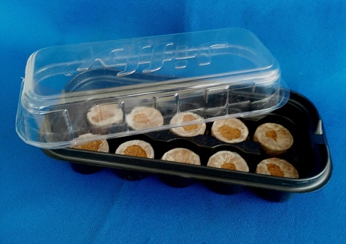 Easy 10 - Germination Starter Kit (2)