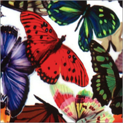 Animal Leather Transfer Foil