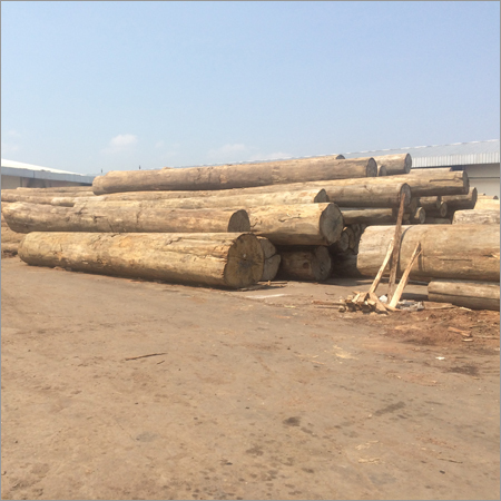 Keruing Wood Logs