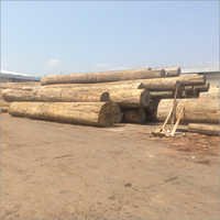 Keruing Wood Logs