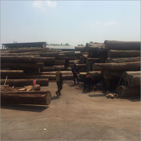 Meranti Mlh Log