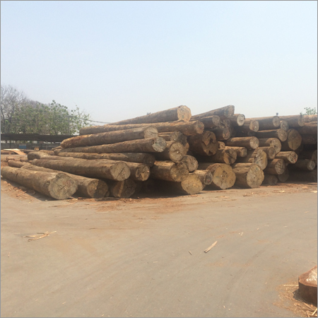 Raw Meranti Mlh Log